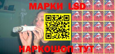 крисы Аргун