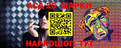 крисы Аргун
