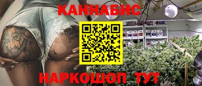 крисы Аргун