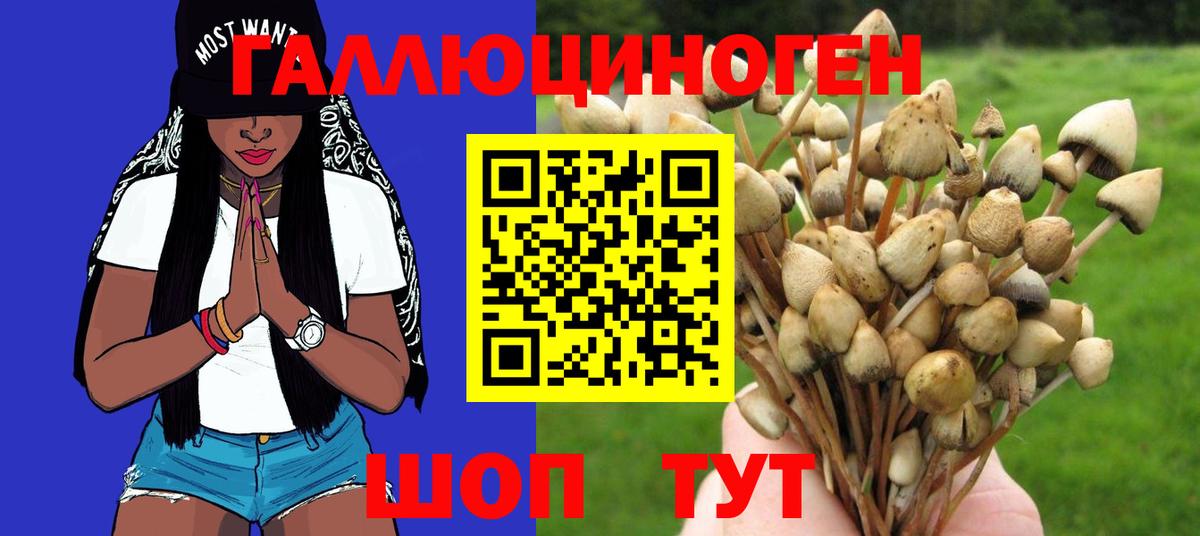 Галлюциногенные грибы Magic Shrooms  Вход с VPN  Выборг 