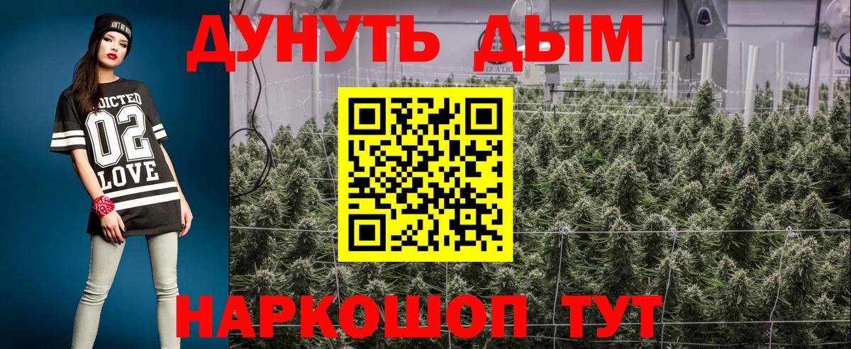 Шишки марихуана конопля  Бошки марихуана марихуана  Каннабис семена  Выборг  Вход с VPN 